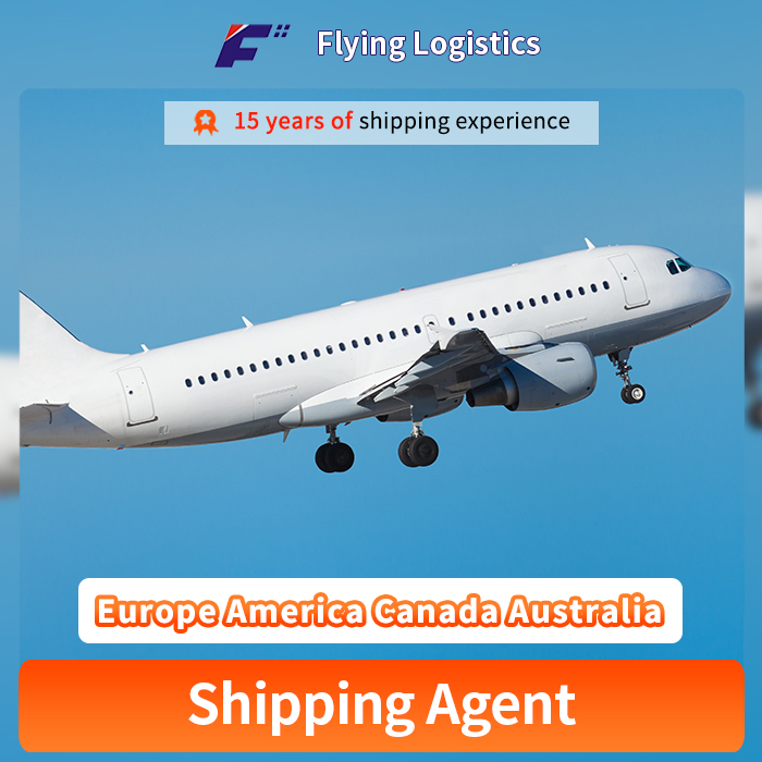 Expedited Shipping Options From China To Europe America Canada Australia