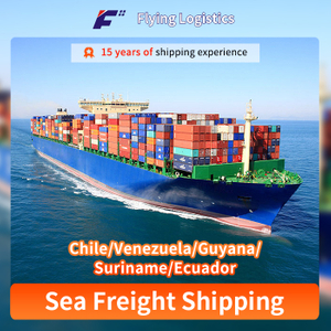 LCL/FCL Sea Shipping Freight Forwarder From China to Chile/Venezuela/Guyana/Suriname/Ecuador