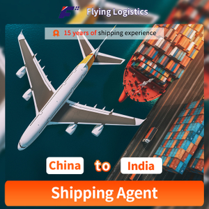 Ocean Freight Forwarder Sea Express Logistics Consolidate Shipping From China to India LCL FCL Shipping Agent