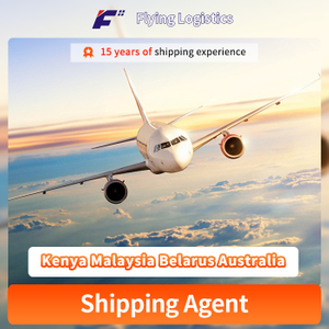 Cheap Door to Door Delivery DDP DDU Air/Sea Shipping Rates From China to Kenya Malaysia Belarus Australia Shipping Agent Logistic Service