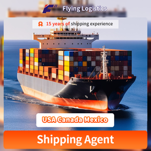 Dropshipping Agent Amazon Fba Door to Door DDP Freight From China to USA Canada Mexico by DHL/TNT/UPS/FedEx Shipping Agent Logistics Service