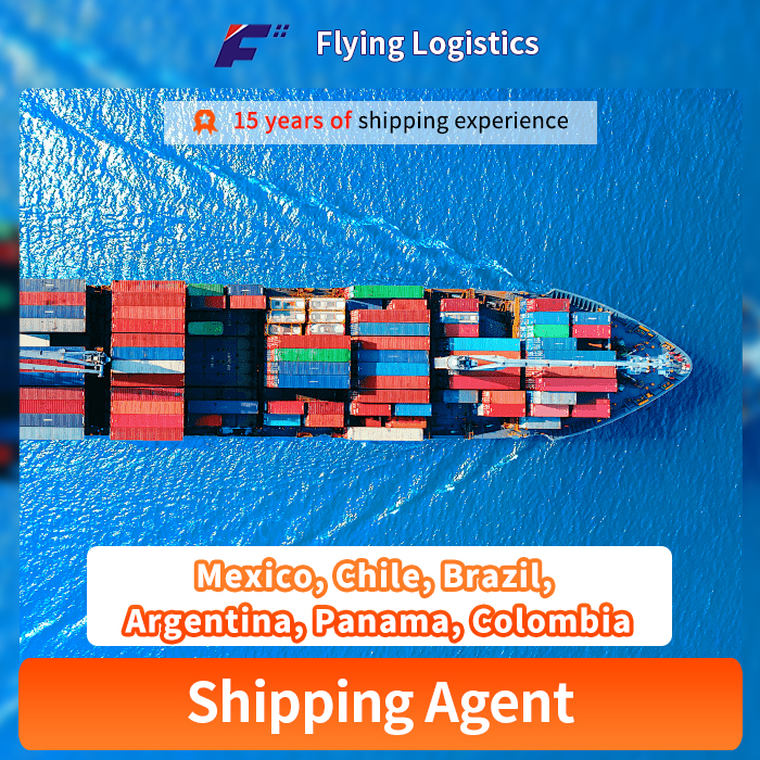 Sea Shipping Agent Freight From China to Mexico, Chile, Brazil, Argentina, Panama, Colombia Logistic Service