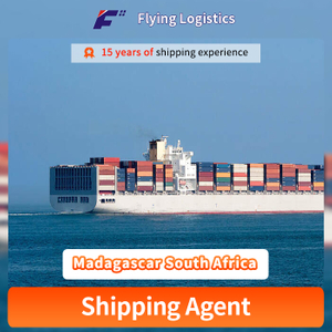 Freight Forwarder Sea Shipping Container in China Ocean Shipping Agent Shipping From China To Madagascar South Africa