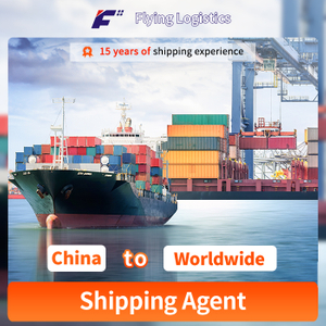 Best and Professional Transport Shipping Agent Good Ocean Freight Forwarder Door to Door DDP by Sea Air From China to Wolrdwide Logistics Service FCL LCL