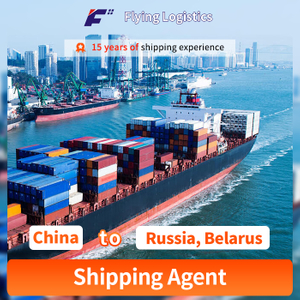 FCL LCL Sea Shipping Agent Freight Forwarder From China to Russia, Belarus, Logistics Service . Sourcing Agent/Purchasing Agent