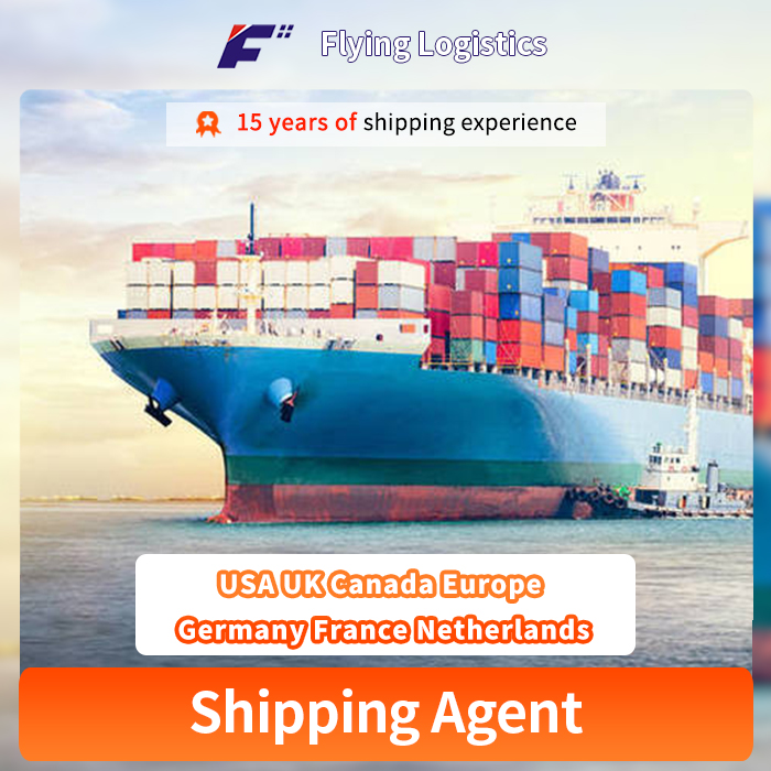 Professional Air Ocean Sea Freight International Shipping Freight Forwarder Agent From China to USA UK Canada Europe Germany France Netherlands