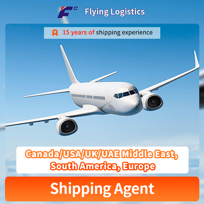 Reliable Air & Sea Shipping Agent Door to Door Service From China to Canada/USA/UK/UAE Middle East, South America, Europe, etc Logistics Service Freight Forwarder