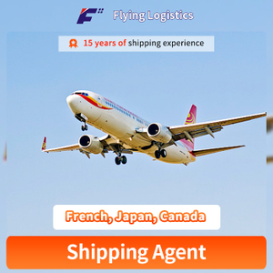 Air Freight Shipping Agent in Shenzhen Forwarder to French, Japan, Canada Freight Forwarder Logistics Service