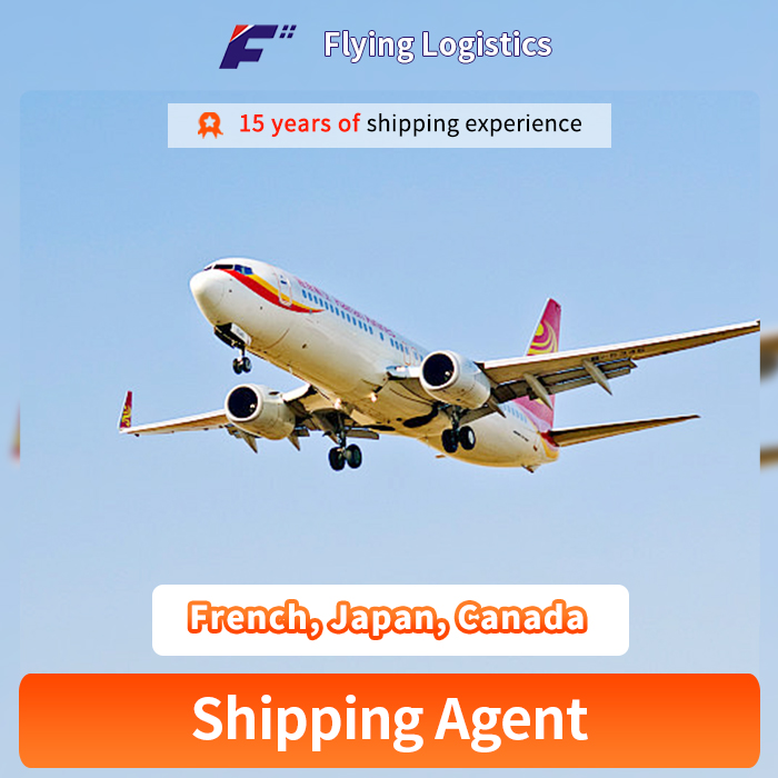 Air Freight Shipping Agent in Shenzhen Forwarder to French, Japan, Canada Freight Forwarder Logistics Service