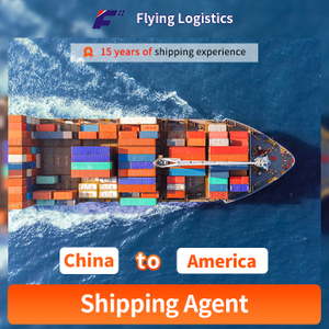 Professional Cheaper LCL/FCL Ocean Freight to America