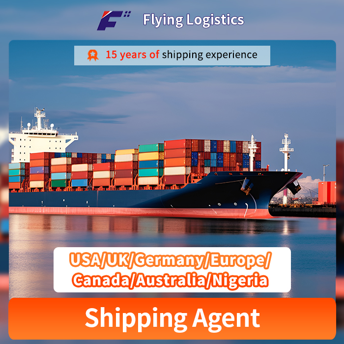 Fast Air/Sea Shipping by DHL Express to USA/UK/Germany/Europe/Canada/Australia/Nigeria with Shenzhen China Freight Forwarder LCL FCL Logistics Service