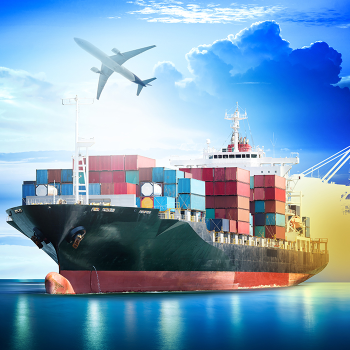 Unlocking the Potential of Express Logistic Service in Customs Clearance