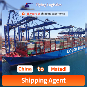 Sea Freight Logistics Service Transport Shipping Agents to Matadi Forwarding in China Low Shipping Price