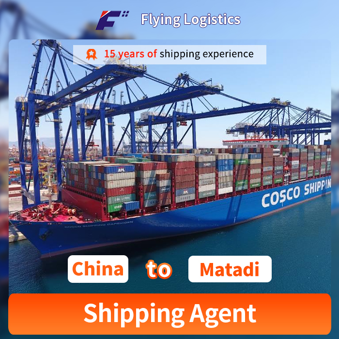 Sea Freight Logistics Service Transport Shipping Agents to Matadi Forwarding in China Low Shipping Price