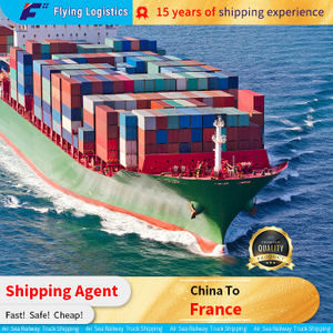 International Logistics Service From China to France Door to Door Shipping