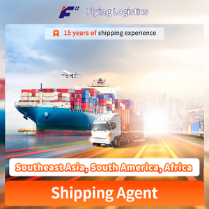 Southeast Asia, South America, Africa, Sea Freight Shipping Agent Company