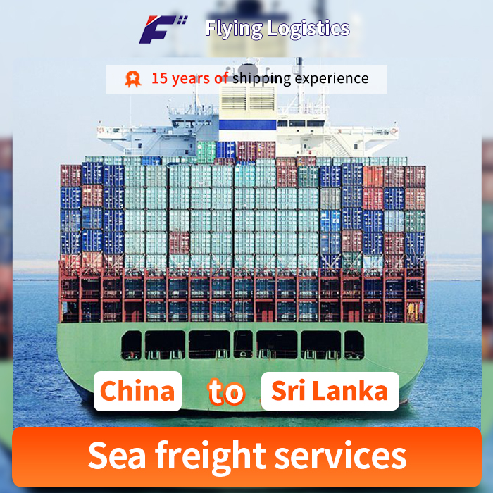 International Logistics Service Sea Freight From China To Sri Lanka Shipping Company