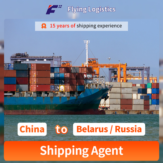 China Professional Shipping Agent Service From China to Belarus Russia or Sea Air Freight Agents