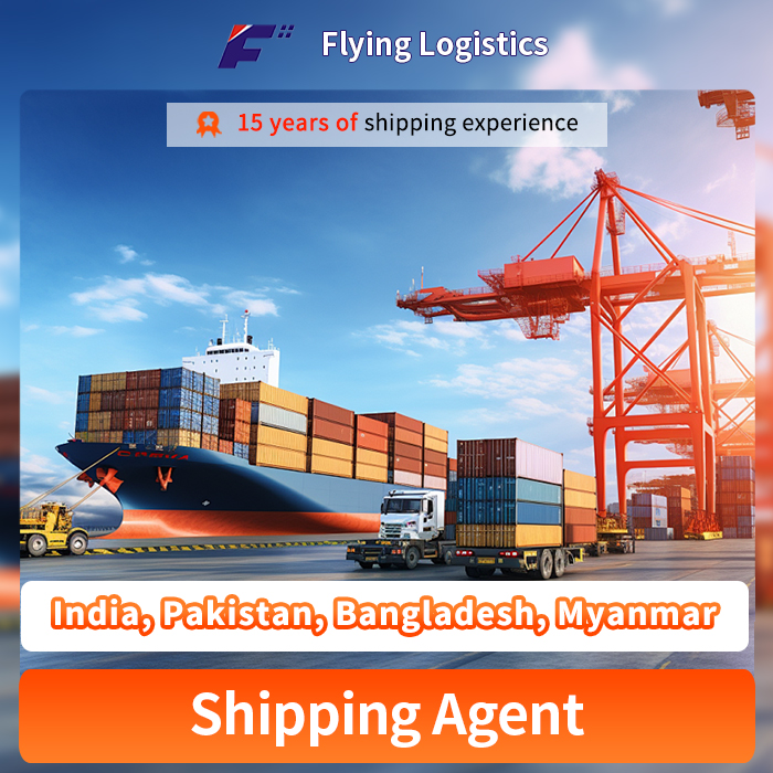 Express Delivery Service, Air/Sea Cargo/Freight/Shipping Container From China to India, Pakistan, Bangladesh, Myanmar Shipping Agent, Logistic Service