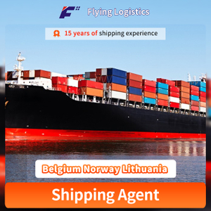 Cheap LCL FCL Logistics Service From China to Belgium Norway Lithuania Freight Forwarder Buyer Consolidation Shipping Agent