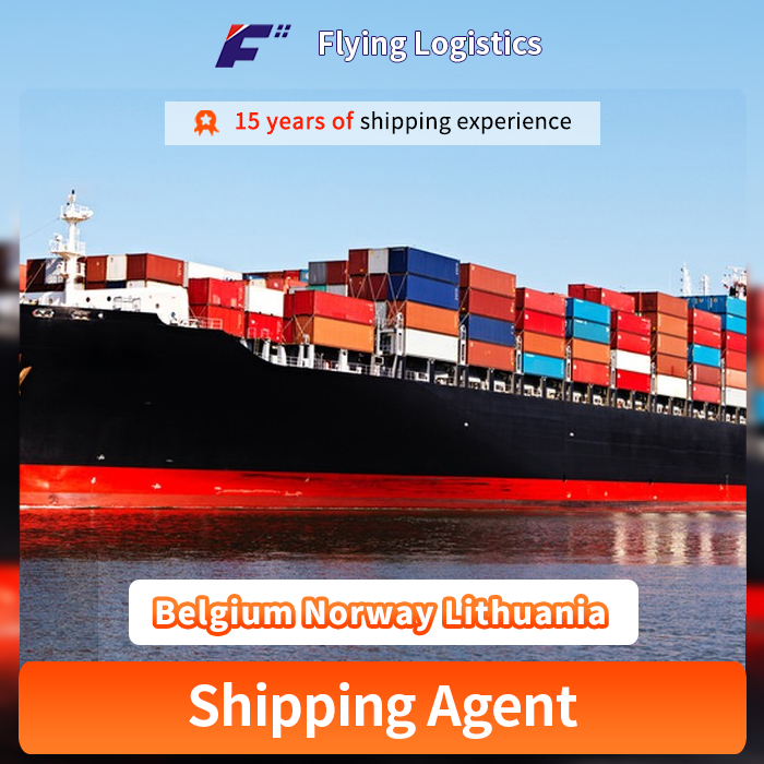 Cheap LCL FCL Logistics Service From China to Belgium Norway Lithuania Freight Forwarder Buyer Consolidation Shipping Agent