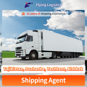 Professional Transportation Road Freight Shipping From China to Tajikistan, Dushanbe, Tashkent, Bishkek Shipping Agent Logistic Service