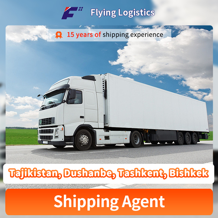 Professional Transportation Road Freight Shipping From China to Tajikistan, Dushanbe, Tashkent, Bishkek Shipping Agent Logistic Service