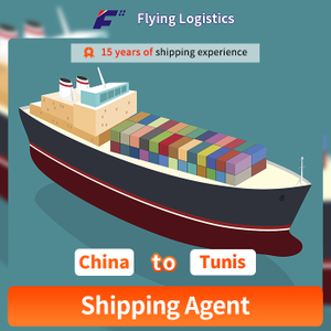 FCL LCL Sea Shipping Service From China Shipping To Tunis Freight Forwarder Shipping Agent