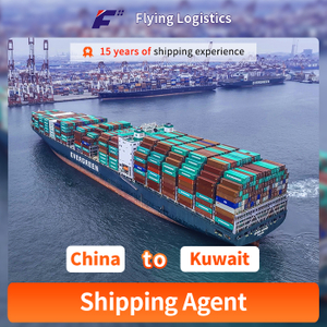 Sea-Freight Shipping From China To Kuwait Container Shipping LCL FCL