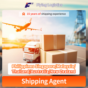 DHL/UPS/FedEx/TNT Shipping Agent From China to Philippines Singapore/Malaysia/Thailand/Australia/New Zealand