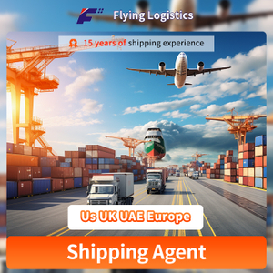 The Cheapest Fast Air/Sea/Railway Freight Forwarder with Shipping Agent Logistics Service From China to Us UK UAE Europe for Amazon Fba DDU DDP by Fast Air Freight Express