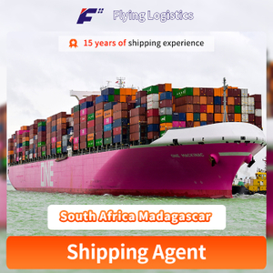 Shipping Agent Shipping Freight Forwarder Logistics to South Africa Madagascar Sea Freight Rates Warehouse Shipment Air Shipping FCL LCL From China