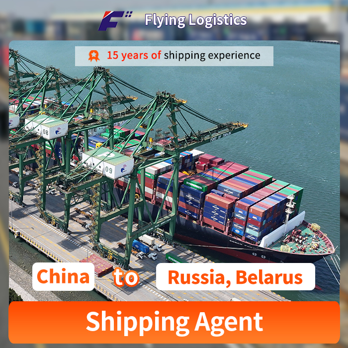 FCL Sea Shipping Agent Freight Forwarder From China to Russia, Belarus, Sourcing Agent/Purchasing Agent