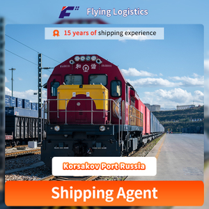 Container Railway Shipping From ShenZhen to Korsakov Port Russia Logistics Service Freight Forwarder