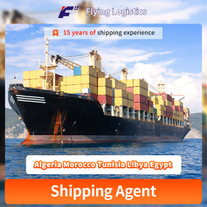 Sea Shipping Express Transport Cargo Agencies From China To Algeria Morocco Tunisia Libya Egypt