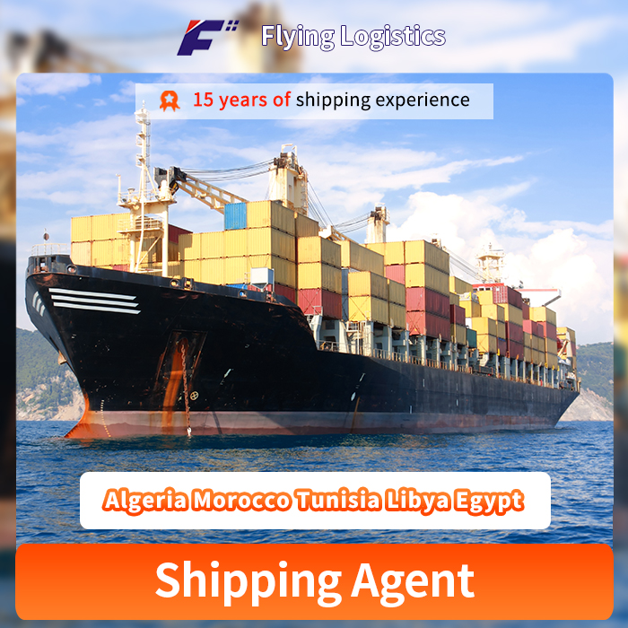 Sea Shipping Express Transport Cargo Agencies From China To Algeria Morocco Tunisia Libya Egypt