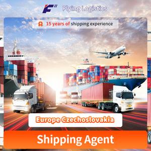 FCL LCL Professional Sea Freight Forwarder Best and Cheapest Ocean Shipping to Europe Czechoslovakia