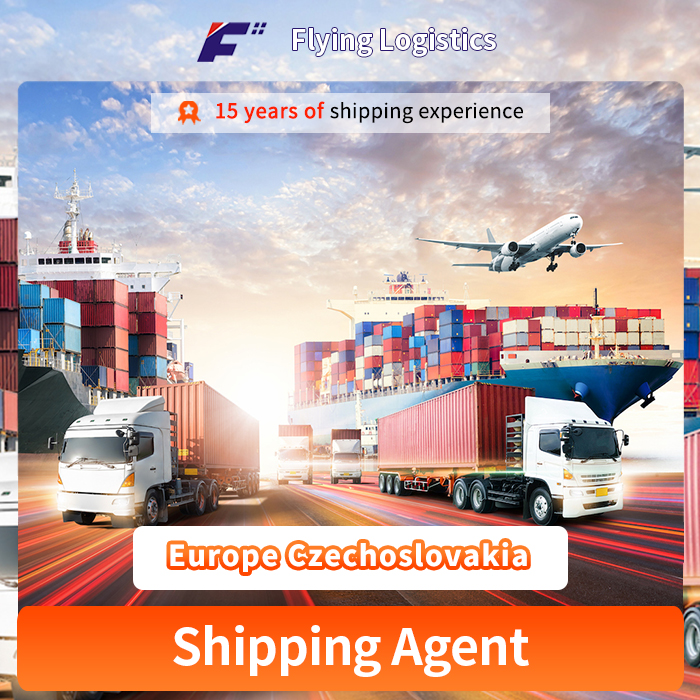 FCL LCL Professional Sea Freight Forwarder Best and Cheapest Ocean Shipping to Europe Czechoslovakia