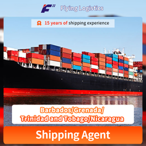 International Sea/Air Shipping From China to Barbados/Grenada/Trinidad and Tobago/Nicaragua Freight Door to Door DDP/DDU