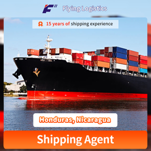 Door to Door DDP Safe Sea Shipping Ocean Forwarder Freight From China to Honduras, Nicaragua, La Paz Port Logistics Service