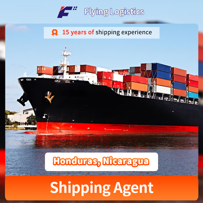 Door to Door DDP Safe Sea Shipping Ocean Forwarder Freight From China to Honduras, Nicaragua, La Paz Port Logistics Service