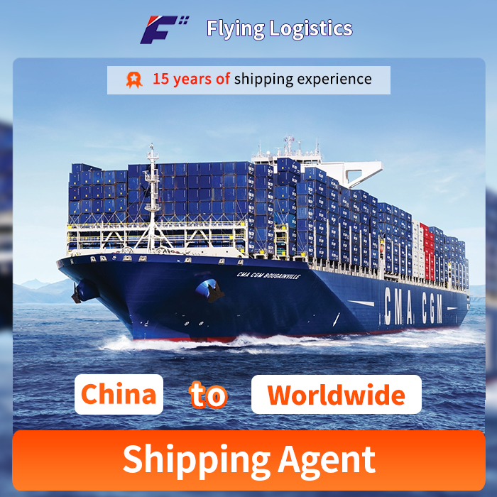 FCL/LCL Cargo Shipping Agent Freight Forwarder Sea Shipping From China to Worldwide