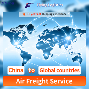 Freight Forwarder/Shipping Agent/Sea Freight Shipping/Air Shipping/Express From China to Worldwide