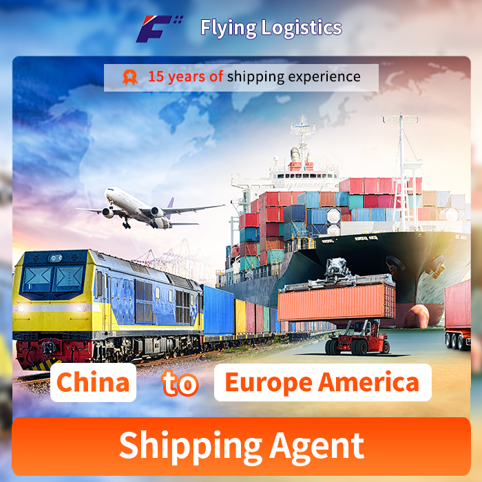 China Logistics Shipping Service Freight Forwarders Sea Shipping Agent to Europe America UK for Food Transportation