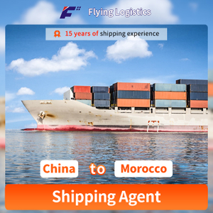 Sea Freight Forwarding Agencies To Morocco LCL Shipping Cargo Express