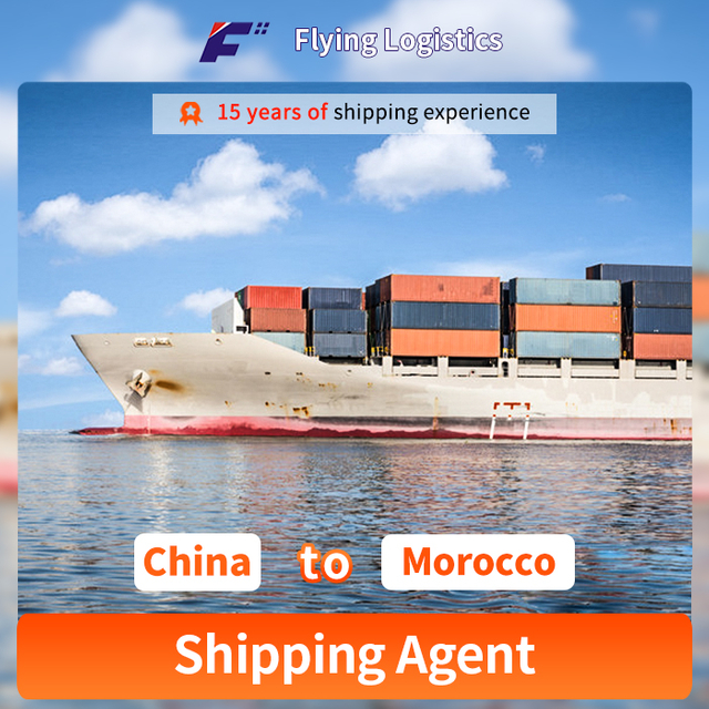 Sea Freight Forwarding Agencies To Morocco LCL Shipping Cargo Express