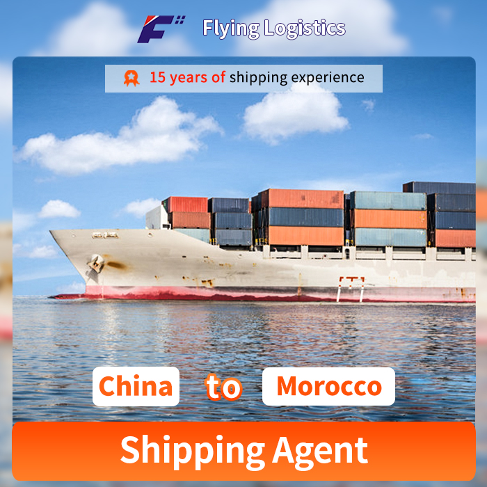 Sea Freight Forwarding Agencies To Morocco LCL Shipping Cargo Express