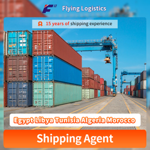 Safety Fast Sea-Freight Logistics Service From China to Egypt Libya Tunisia Algeria Morocco Shipping Agent Company