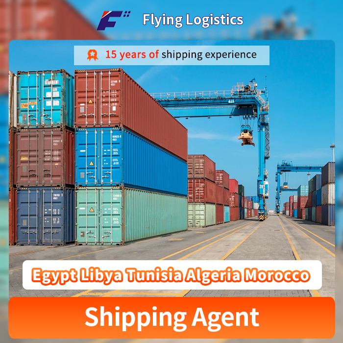 Safety Fast Sea-Freight Logistics Service From China to Egypt Libya Tunisia Algeria Morocco Shipping Agent Company