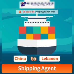 FCL LCL Sea Shipping From ShenZhen ShangHai China To Beirut Freight Lebanon Shipping Agent